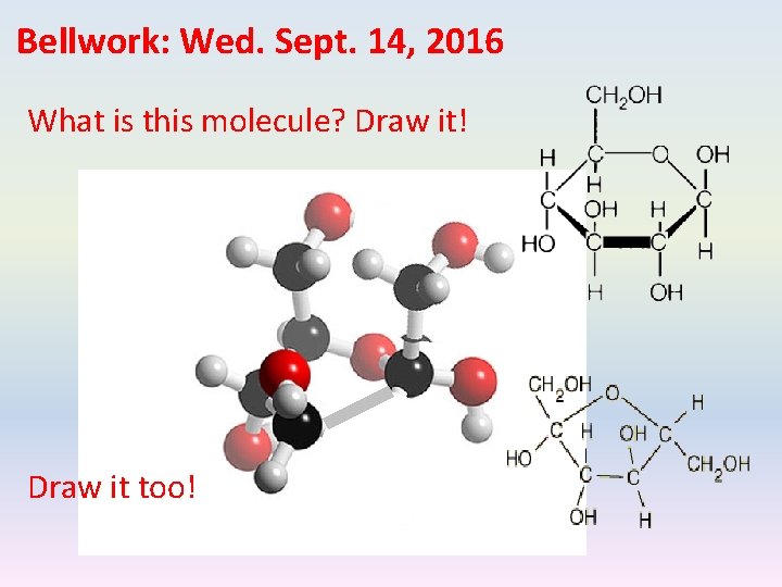 Bellwork: Wed. Sept. 14, 2016 What is this molecule? Draw it! Draw it too!