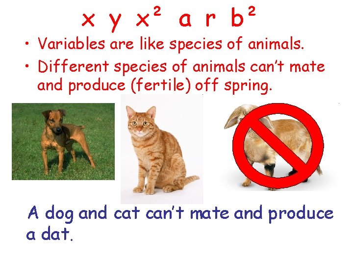 x y x² a r b² • Variables are like species of animals. •