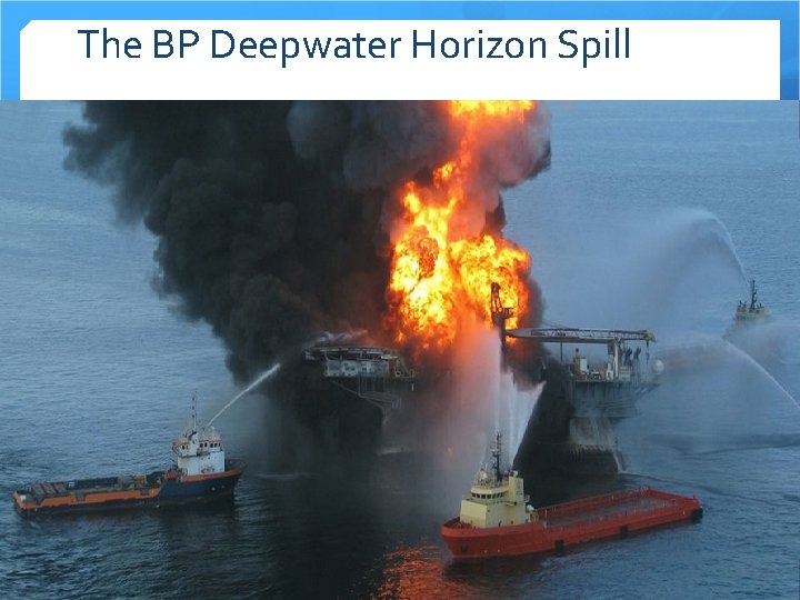 The BP Deepwater Horizon Spill 