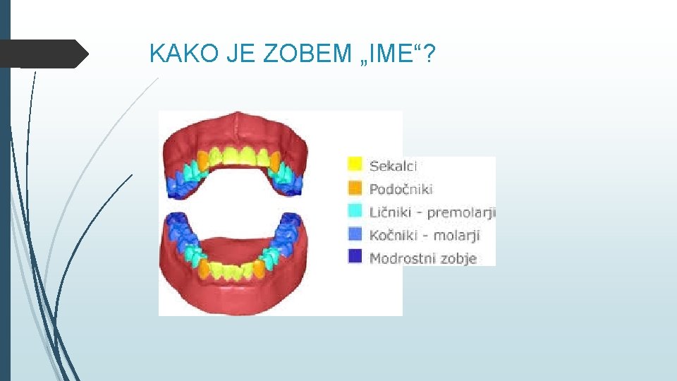 KAKO JE ZOBEM „IME“? 