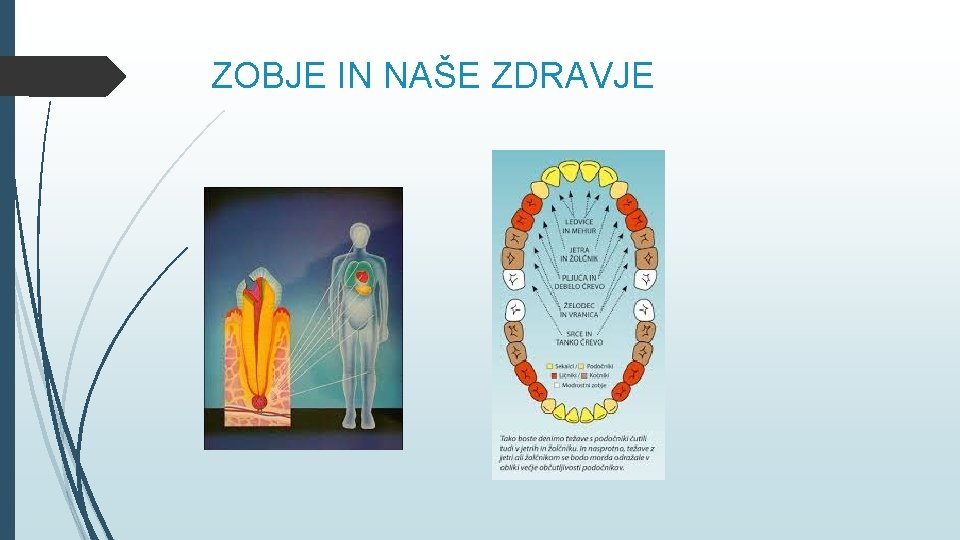 ZOBJE IN NAŠE ZDRAVJE 