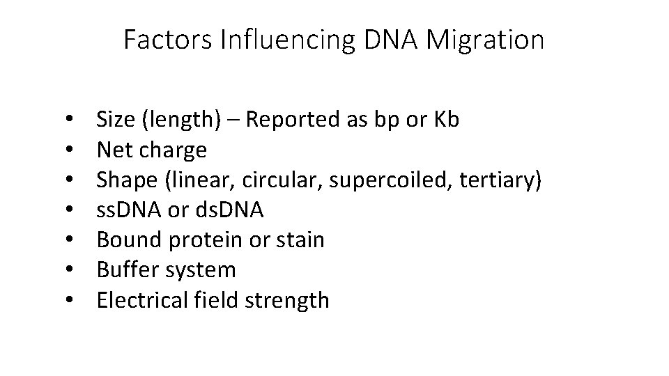 Factors Influencing DNA Migration • • Size (length) – Reported as bp or Kb