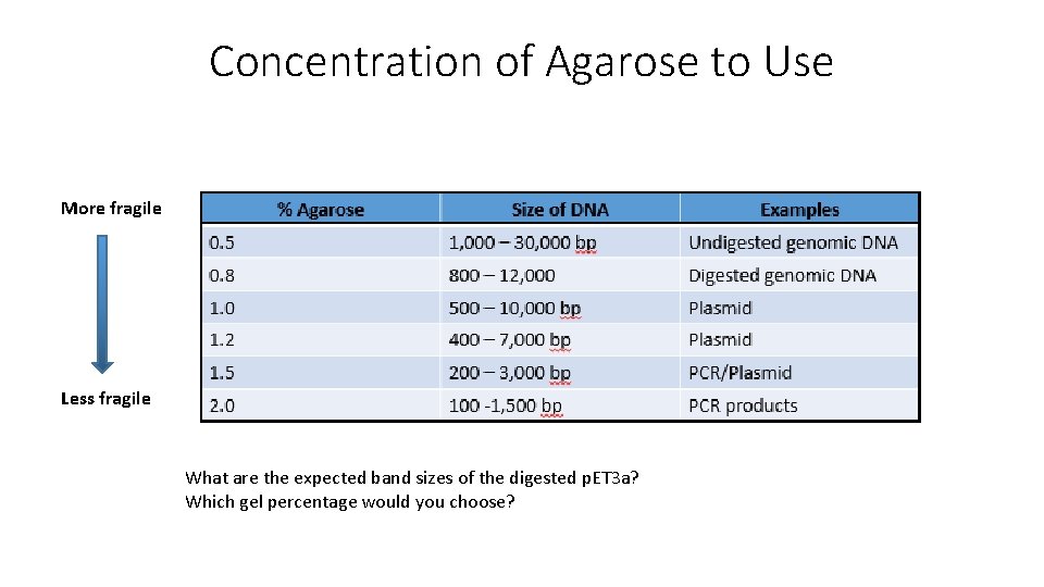 Concentration of Agarose to Use More fragile Less fragile What are the expected band