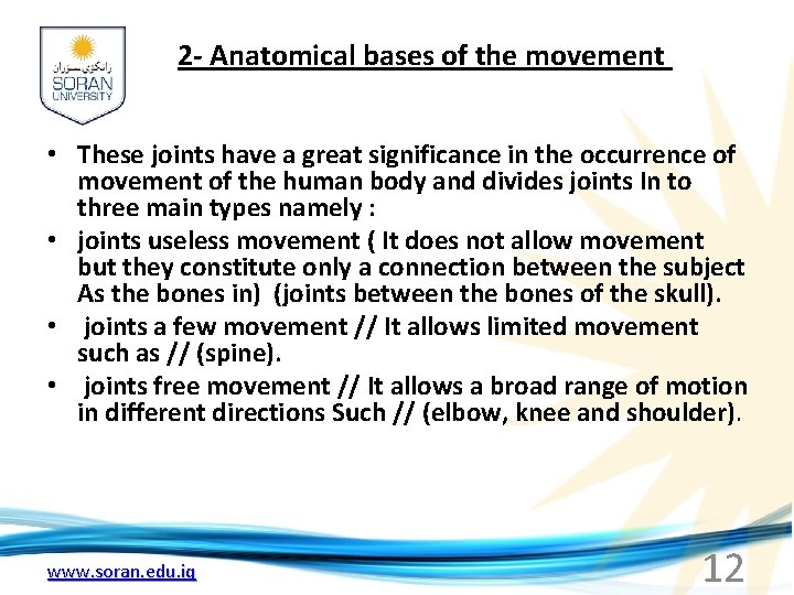 2 - Anatomical bases of the movement • These joints have a great significance