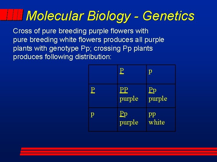 Molecular Biology - Genetics Cross of pure breeding purple flowers with pure breeding white