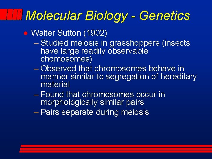 Molecular Biology - Genetics l Walter Sutton (1902) – Studied meiosis in grasshoppers (insects