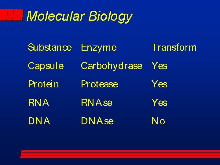 Molecular Biology 