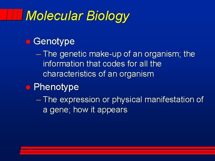 Molecular Biology l Genotype – The genetic make-up of an organism; the information that