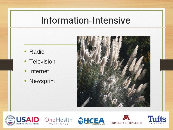 Information-Intensive • • Radio Television Internet Newsprint 