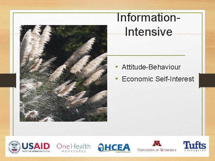Information. Intensive • Attitude-Behaviour • Economic Self-Interest 