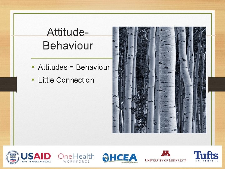 Attitude. Behaviour • Attitudes = Behaviour • Little Connection 
