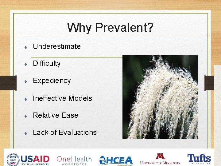 Why Prevalent? ✤ Underestimate ✤ Difficulty ✤ Expediency ✤ Ineffective Models ✤ Relative Ease Why Prevalent? ✤ Underestimate ✤ Difficulty ✤ Expediency ✤ Ineffective Models ✤ Relative Ease