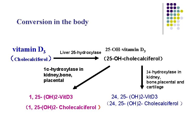 Conversion in the body vitamin D 3 (Cholecalciferol) Liver 25 -hydroxylase 25 -OH-vitamin D Conversion in the body vitamin D 3 (Cholecalciferol) Liver 25 -hydroxylase 25 -OH-vitamin D