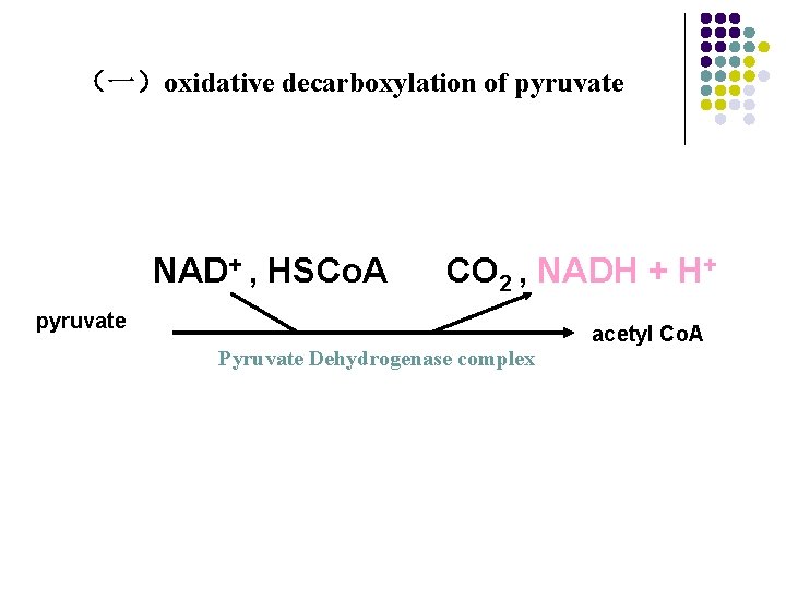 (一)oxidative decarboxylation of pyruvate NAD+ , HSCo. A CO 2 , NADH + H+ (一)oxidative decarboxylation of pyruvate NAD+ , HSCo. A CO 2 , NADH + H+