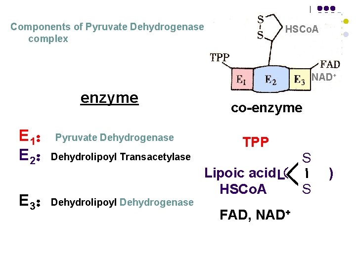 Components of Pyruvate Dehydrogenase complex HSCo. A NAD+ enzyme E 1: Pyruvate Dehydrogenase E Components of Pyruvate Dehydrogenase complex HSCo. A NAD+ enzyme E 1: Pyruvate Dehydrogenase E