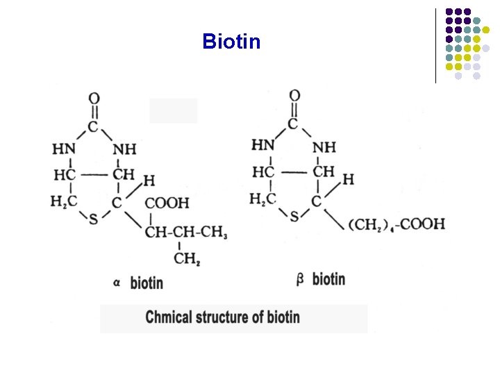 Biotin Biotin