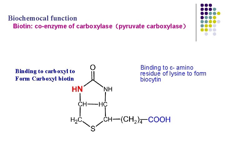 生化作用 Biochemocal function Biotin: co-enzyme of carboxylase(pyruvate carboxylase) Binding to carboxyl to Form Carboxyl 生化作用 Biochemocal function Biotin: co-enzyme of carboxylase(pyruvate carboxylase) Binding to carboxyl to Form Carboxyl