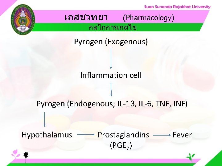 เภสชวทยา (Pharmacology) กลไกการเกดไข Pyrogen (Exogenous) Inflammation cell Pyrogen (Endogenous; IL-1β, IL-6, TNF, INF) Hypothalamus