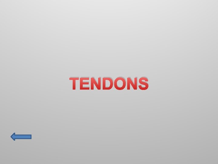 TENDONS 