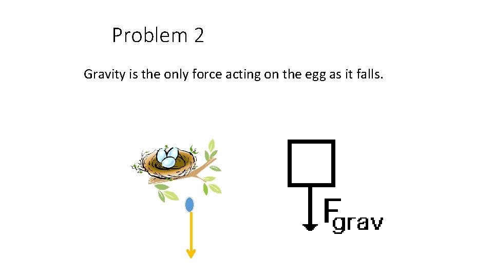 Problem 2 Gravity is the only force acting on the egg as it falls.