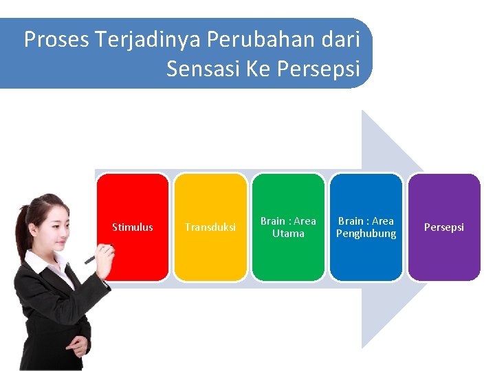 Proses Terjadinya Perubahan dari Sensasi Ke Persepsi Stimulus Transduksi Brain : Area Utama Brain