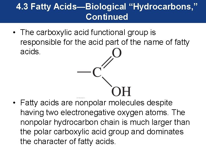 4. 3 Fatty Acids—Biological “Hydrocarbons, ” Continued • The carboxylic acid functional group is