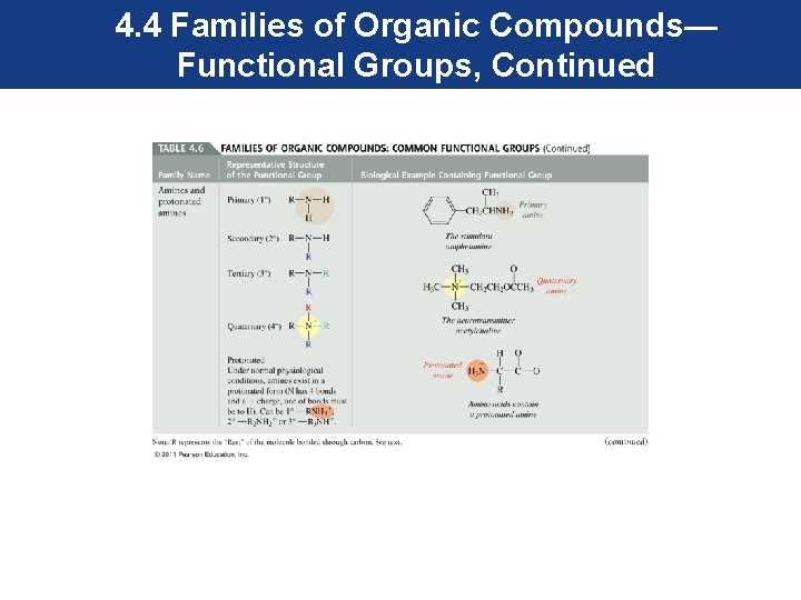 4. 4 Families of Organic Compounds— Functional Groups, Continued 