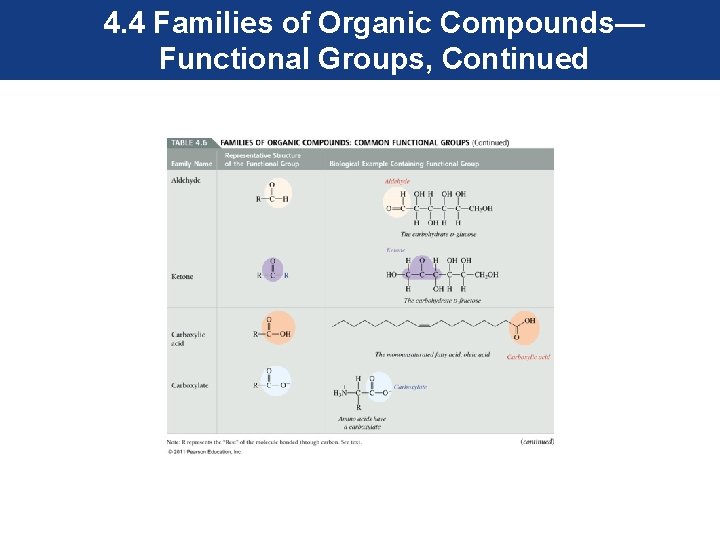 4. 4 Families of Organic Compounds— Functional Groups, Continued 
