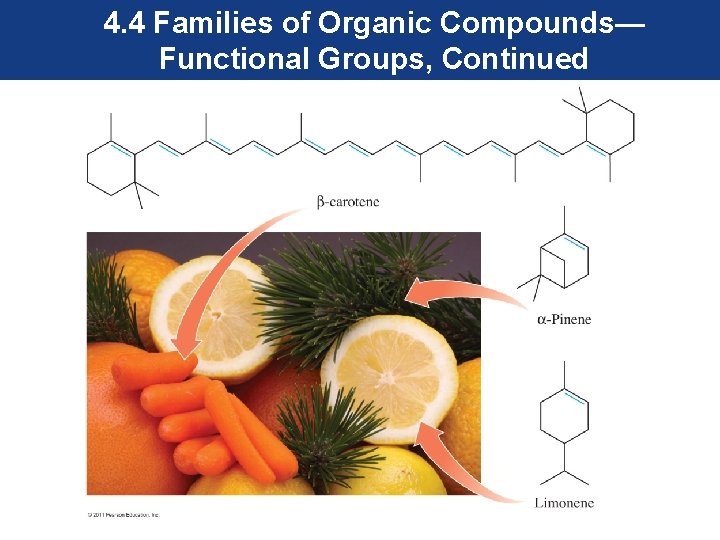 4. 4 Families of Organic Compounds— Functional Groups, Continued 