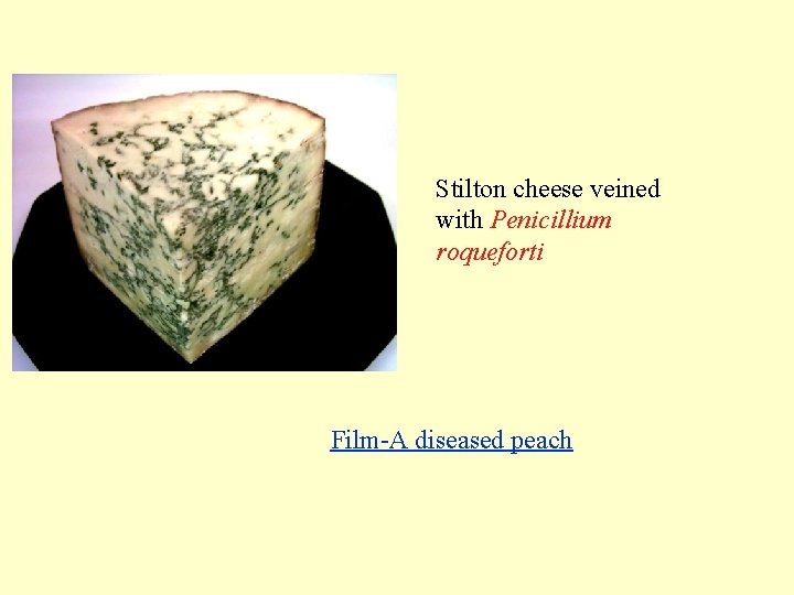 Stilton cheese veined with Penicillium roqueforti Film-A diseased peach 