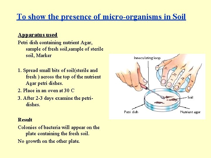 To show the presence of micro-organisms in Soil Apparatus used Petri dish containing nutrient