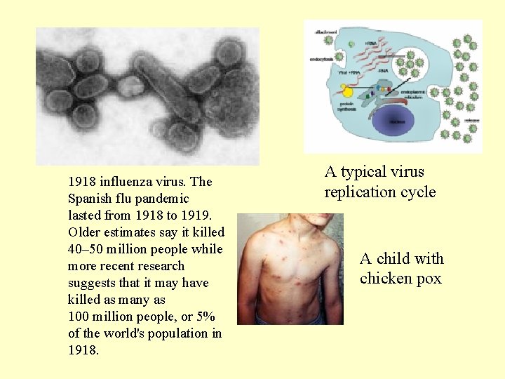 1918 influenza virus. The Spanish flu pandemic lasted from 1918 to 1919. Older estimates