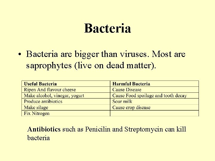 Bacteria • Bacteria are bigger than viruses. Most are saprophytes (live on dead matter).