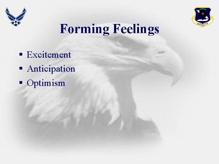 Forming Feelings § Excitement § Anticipation § Optimism 