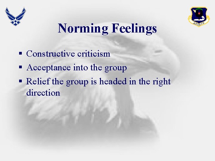 Norming Feelings § Constructive criticism § Acceptance into the group § Relief the group