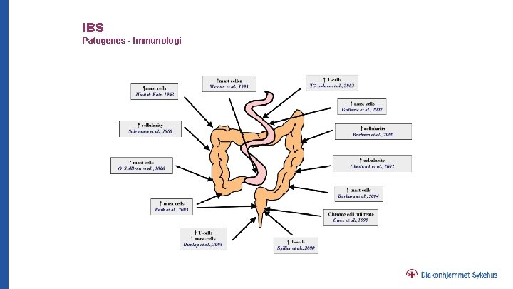 IBS Patogenes - Immunologi 