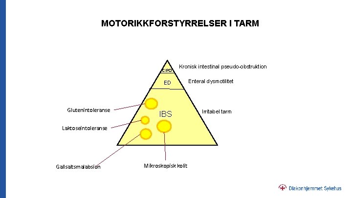 MOTORIKKFORSTYRRELSER I TARM CIPO Kronisk intestinal pseudo-obstruktion ED Enteral dysmotilitet IBS Irritabel tarm CIP