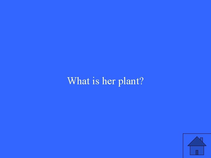 What is her plant? 