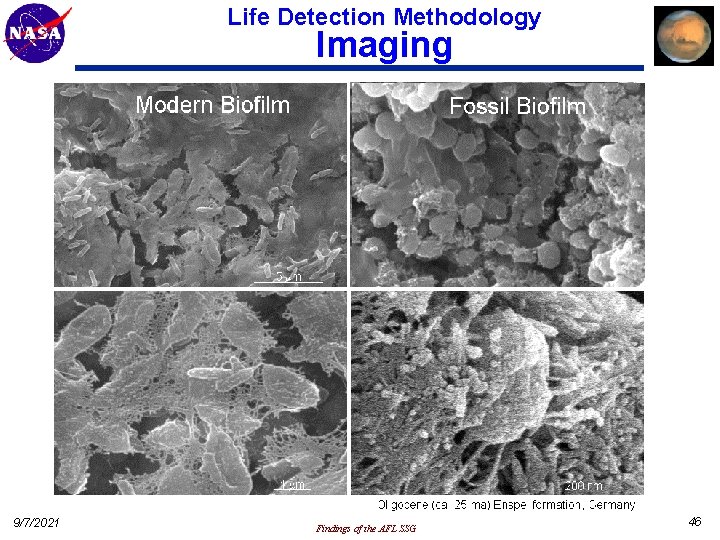 Life Detection Methodology Imaging 9/7/2021 Findings of the AFL SSG 46 