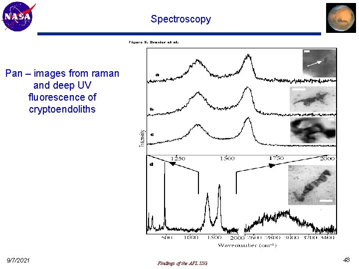 Spectroscopy Pan – images from raman and deep UV fluorescence of cryptoendoliths 9/7/2021 Findings