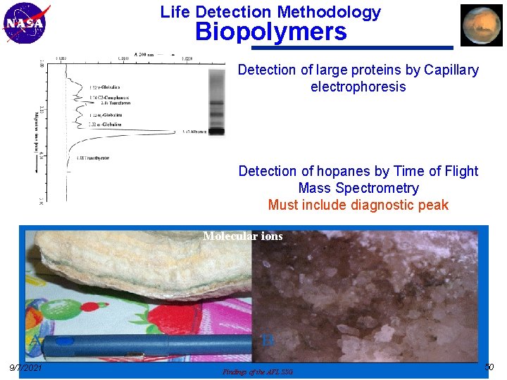 Life Detection Methodology Biopolymers Detection of large proteins by Capillary electrophoresis Detection of hopanes