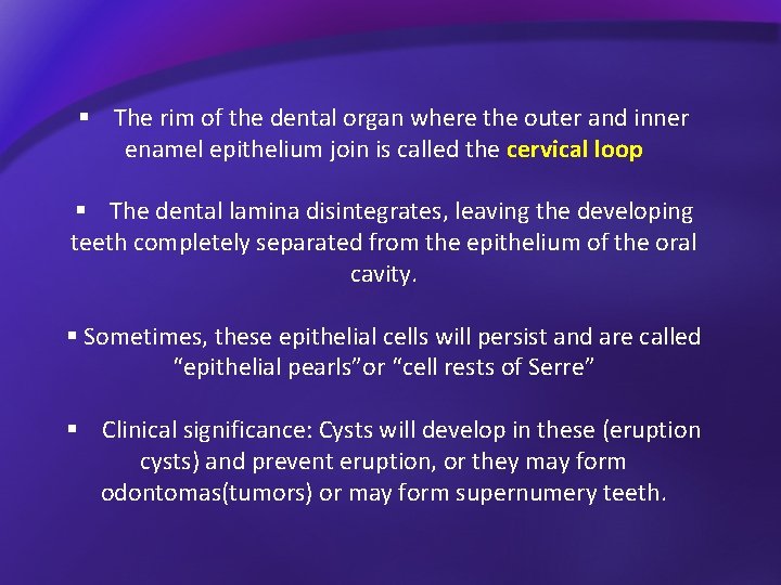 § The rim of the dental organ where the outer and inner enamel epithelium