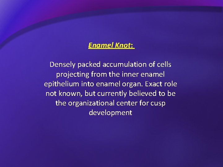 Enamel Knot: Densely packed accumulation of cells projecting from the inner enamel epithelium into