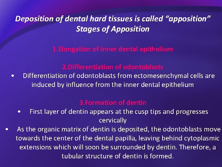 Deposition of dental hard tissues is called “apposition” Stages of Apposition 1. Elongation of