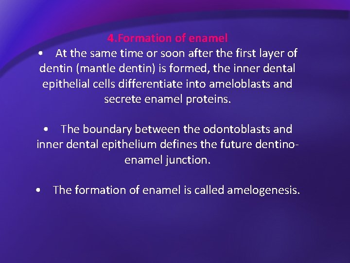 4. Formation of enamel • At the same time or soon after the first