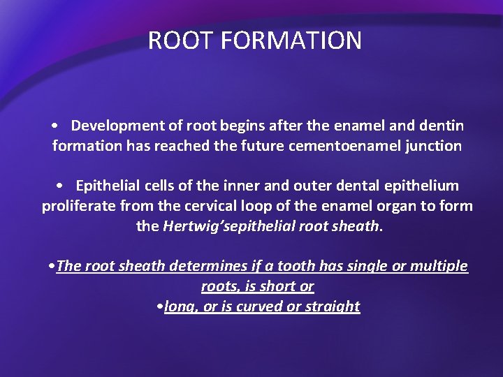 ROOT FORMATION • Development of root begins after the enamel and dentin formation has