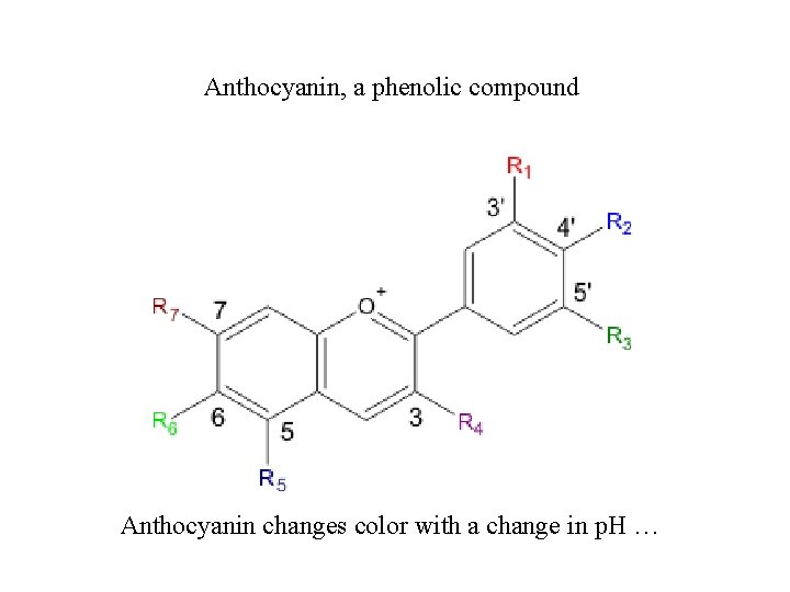 Anthocyanin, a phenolic compound Anthocyanin changes color with a change in p. H …