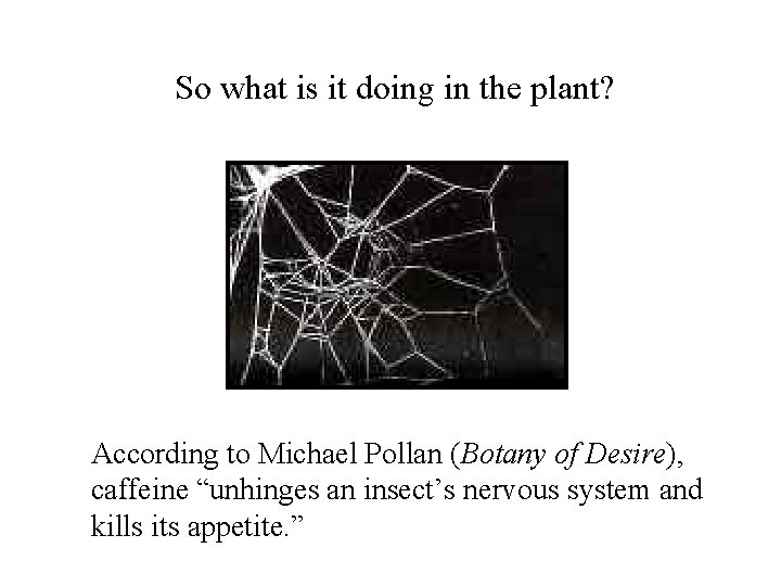 So what is it doing in the plant? According to Michael Pollan (Botany of