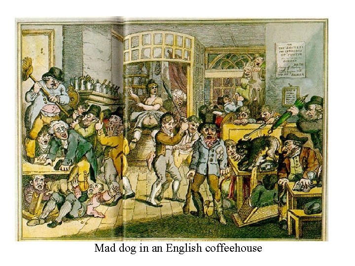 Mad dog in an English coffeehouse 