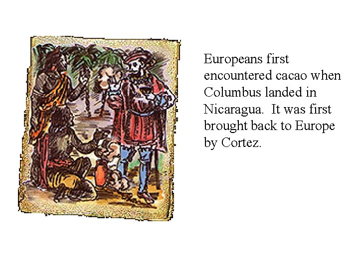 Europeans first encountered cacao when Columbus landed in Nicaragua. It was first brought back